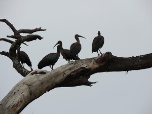 etiopia_shalla-lake_05
